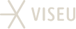 Logo Núcleo Viseu